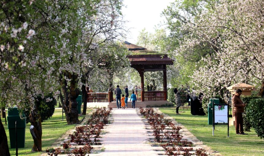 Badamwari Srinagar: The Almond Paradise of Kashmir