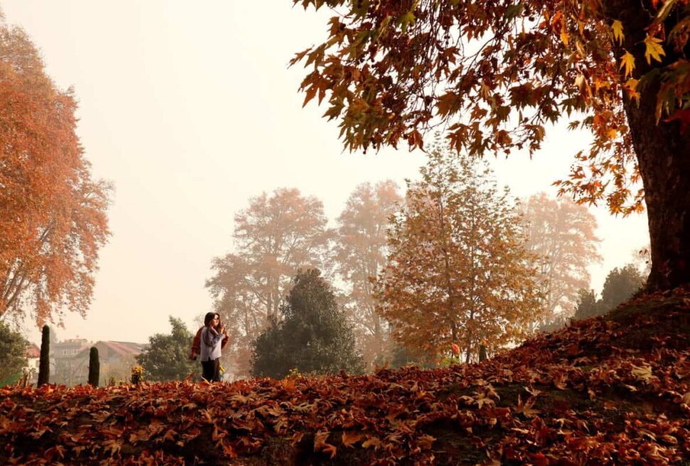 Autumn in Kashmir transcends the ordinary, enveloping you in a world of color, heritage, and serenity.