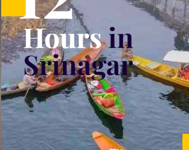 Explore Srinagar in 12 Hours – A Comprehensive Travel Guide