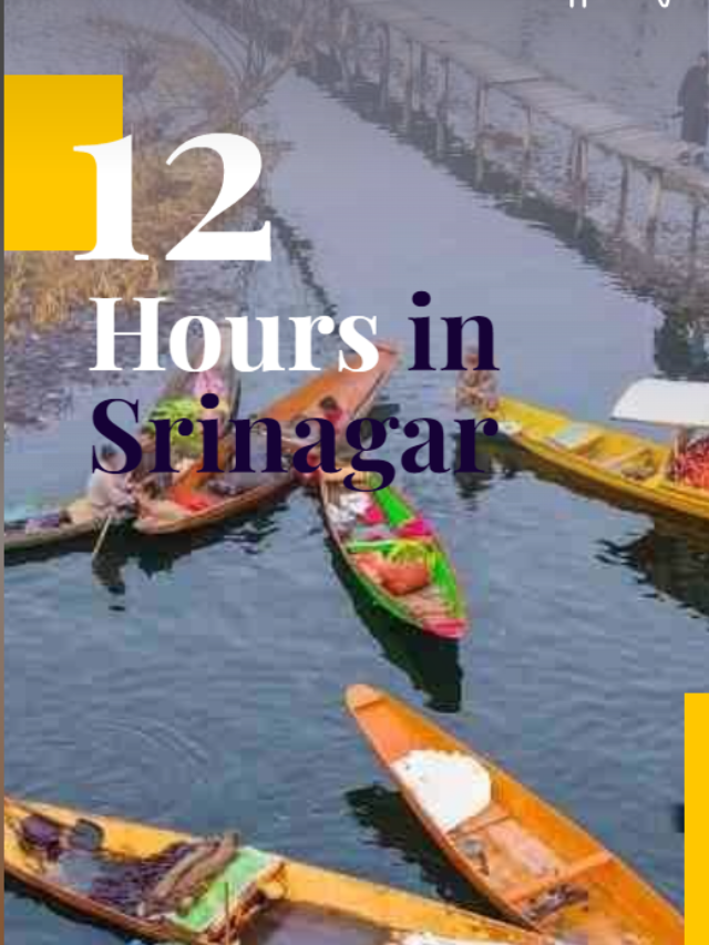 Explore Srinagar in 12 Hours – A Comprehensive Travel Guide